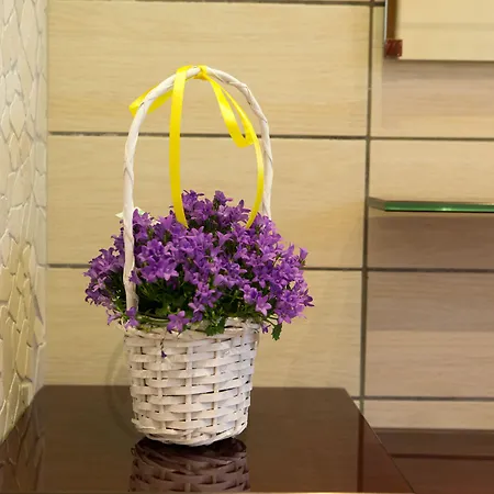 Bed & Breakfast Serena 4*