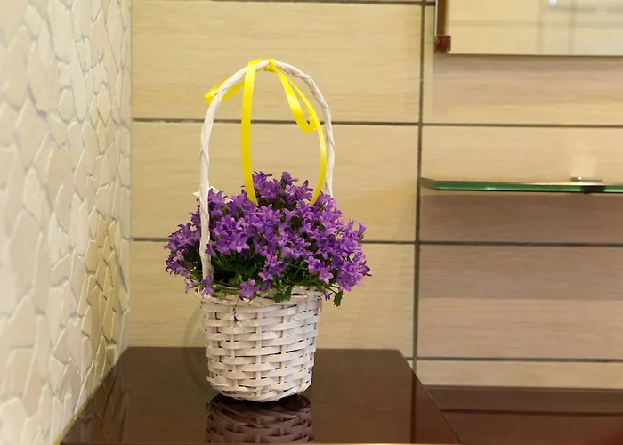 Oda ve Kahvaltı Serena 4*